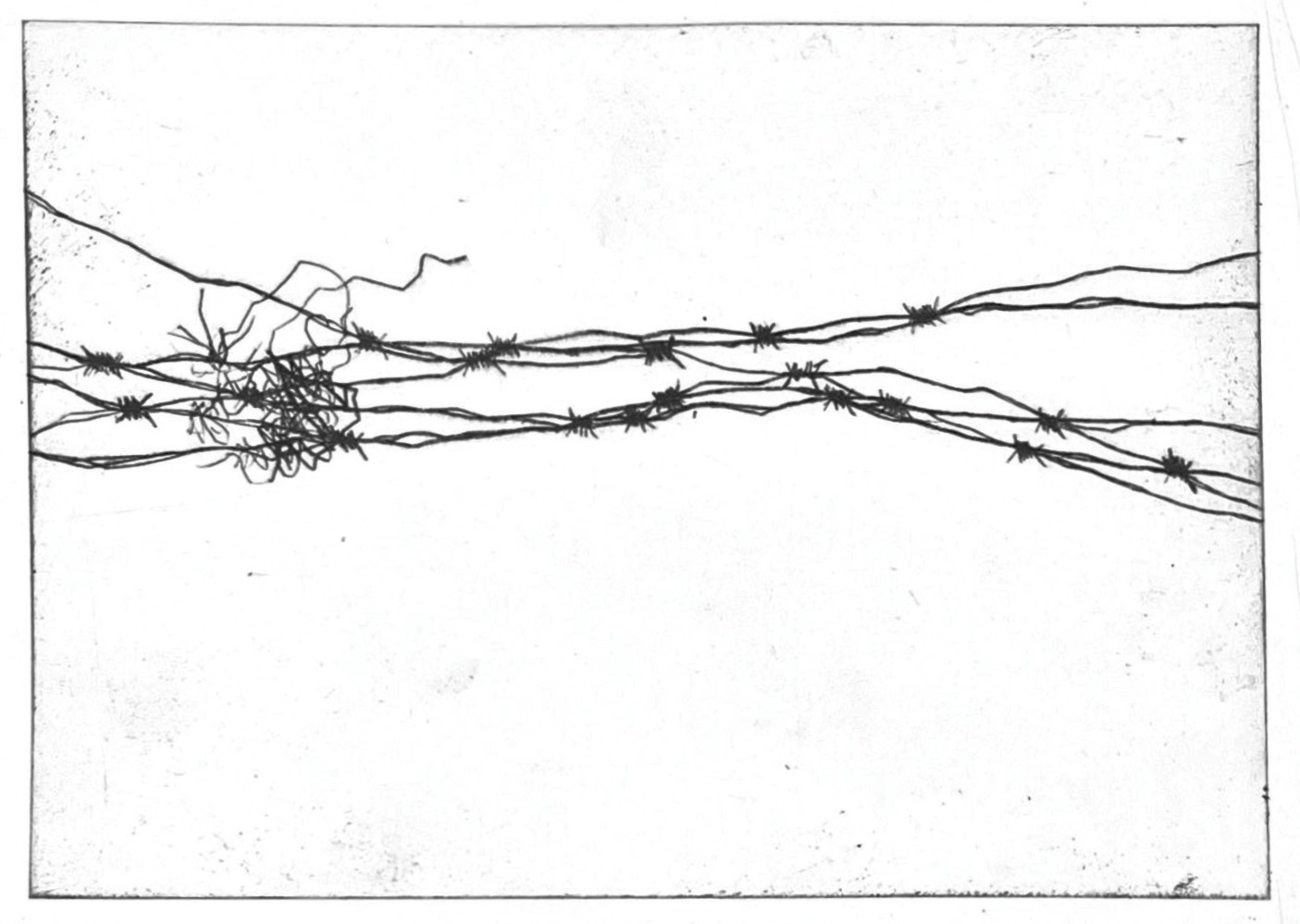 Untitled 2